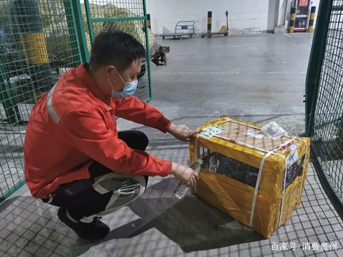 寵物乘機也能“用餐”了！南航物流拓展在黔多項服務裝卸服務